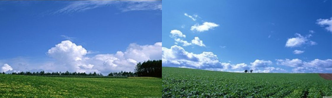 1526174390361746.jpg 内.jpg