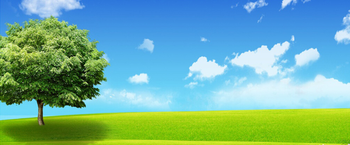 1526175411337750.jpg 内2.jpg