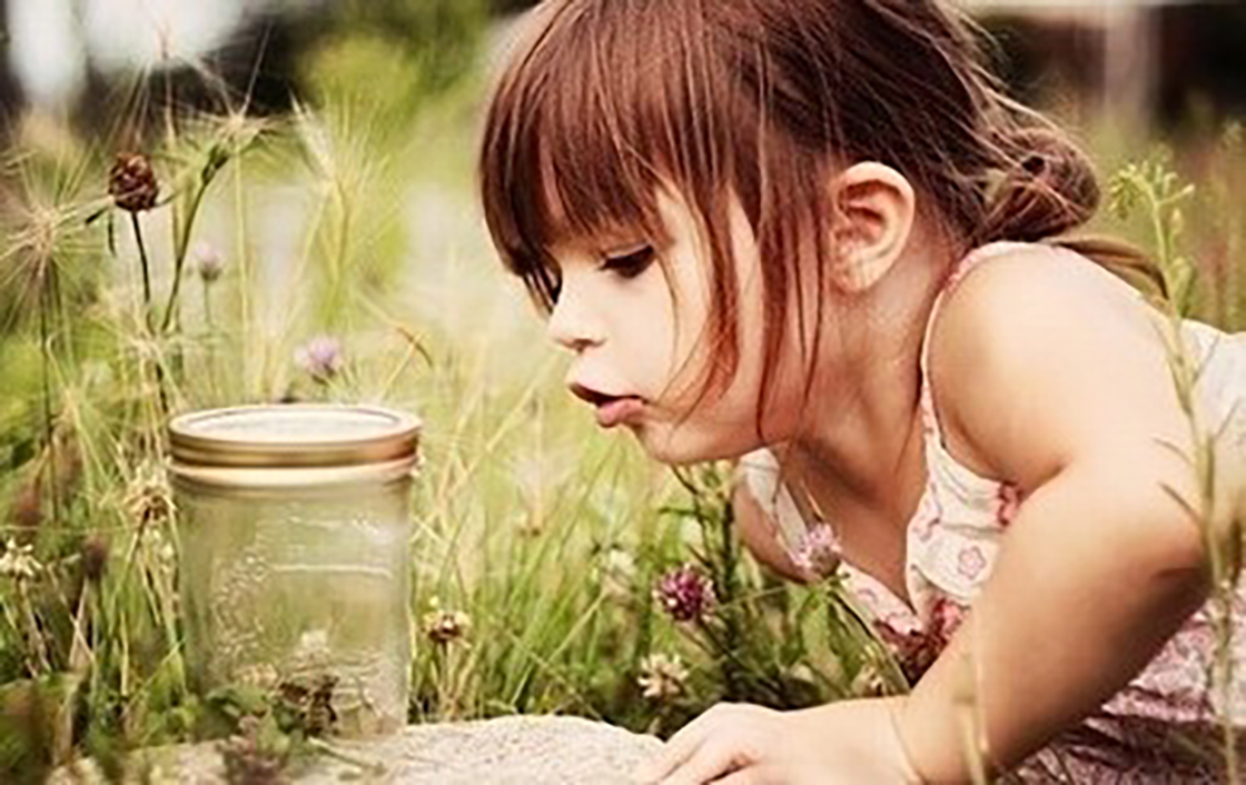 1526176179894775.jpg 内.jpg