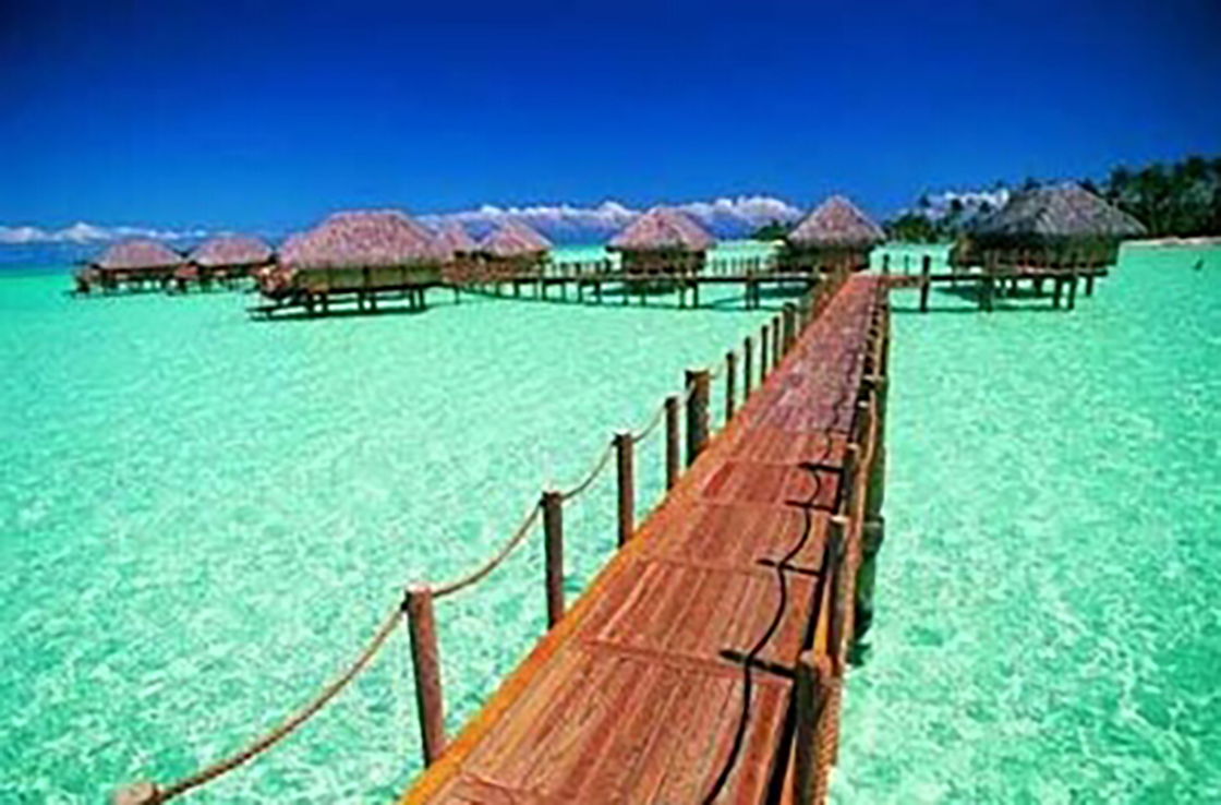 1526177446421843.jpg 内01.jpg