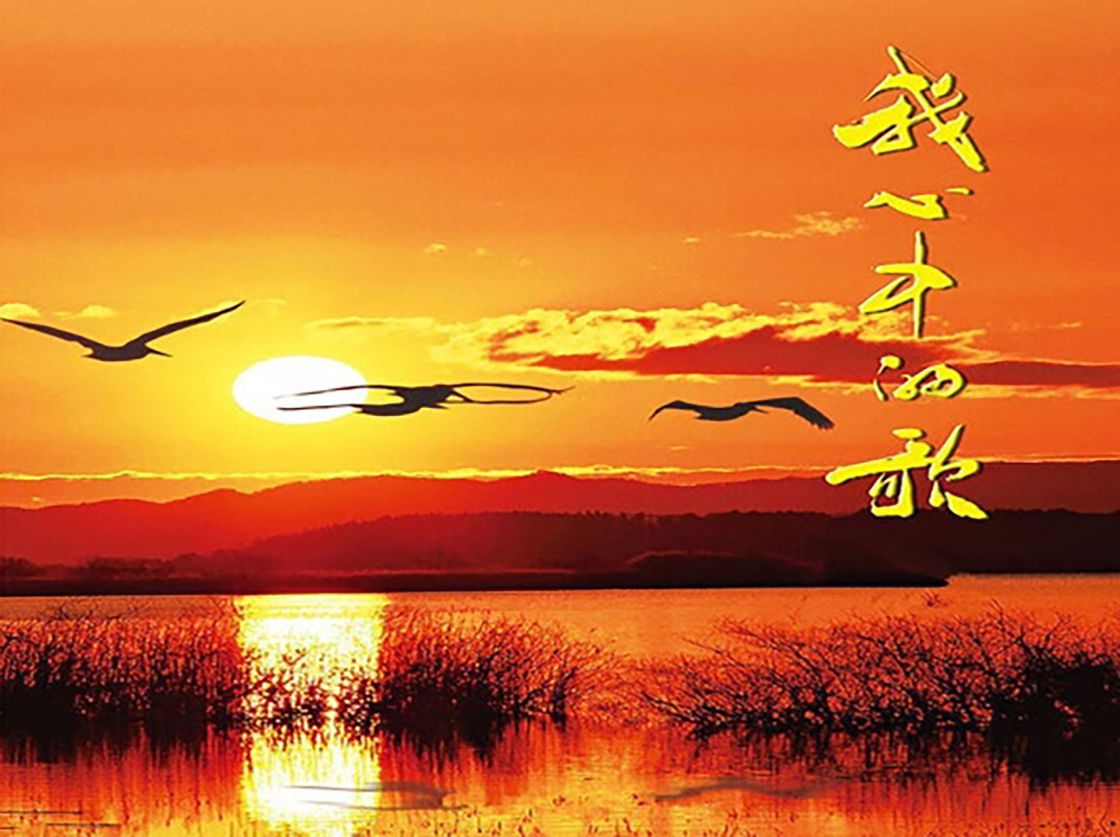 1526177825501125.jpg 内.jpg