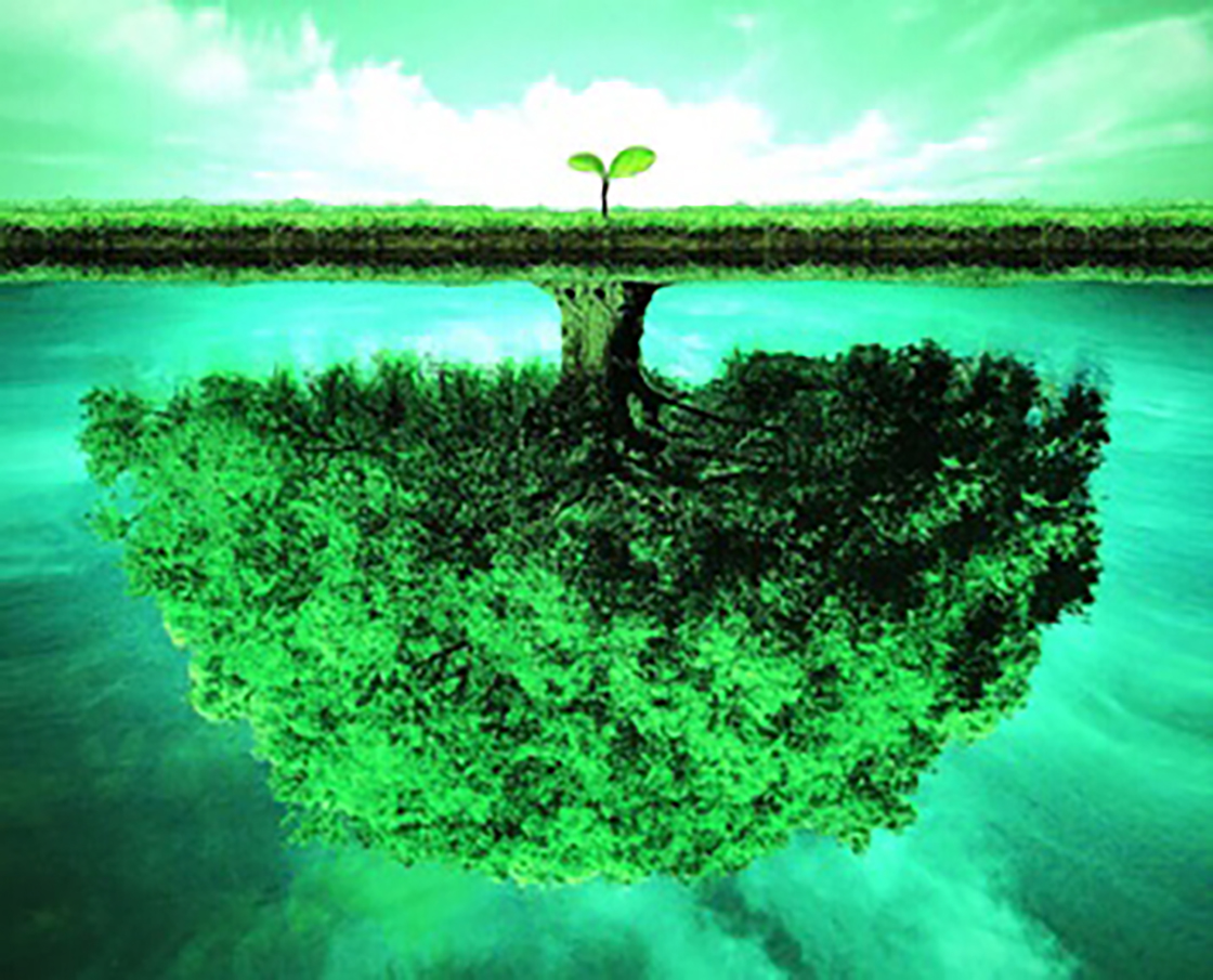 1526178252505710.jpg 内.jpg