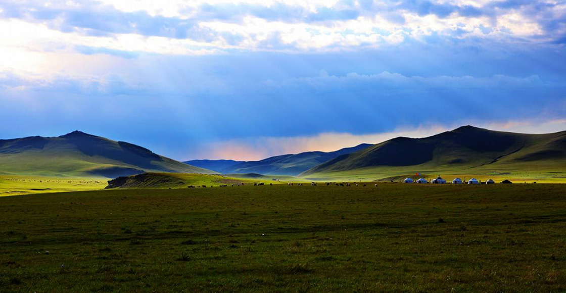 1643248423514468.jpeg 1526190938250158.jpeg