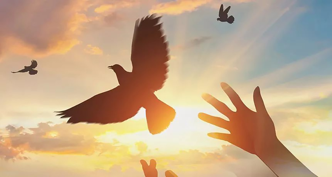 1526439361713190.jpg 640.jpg