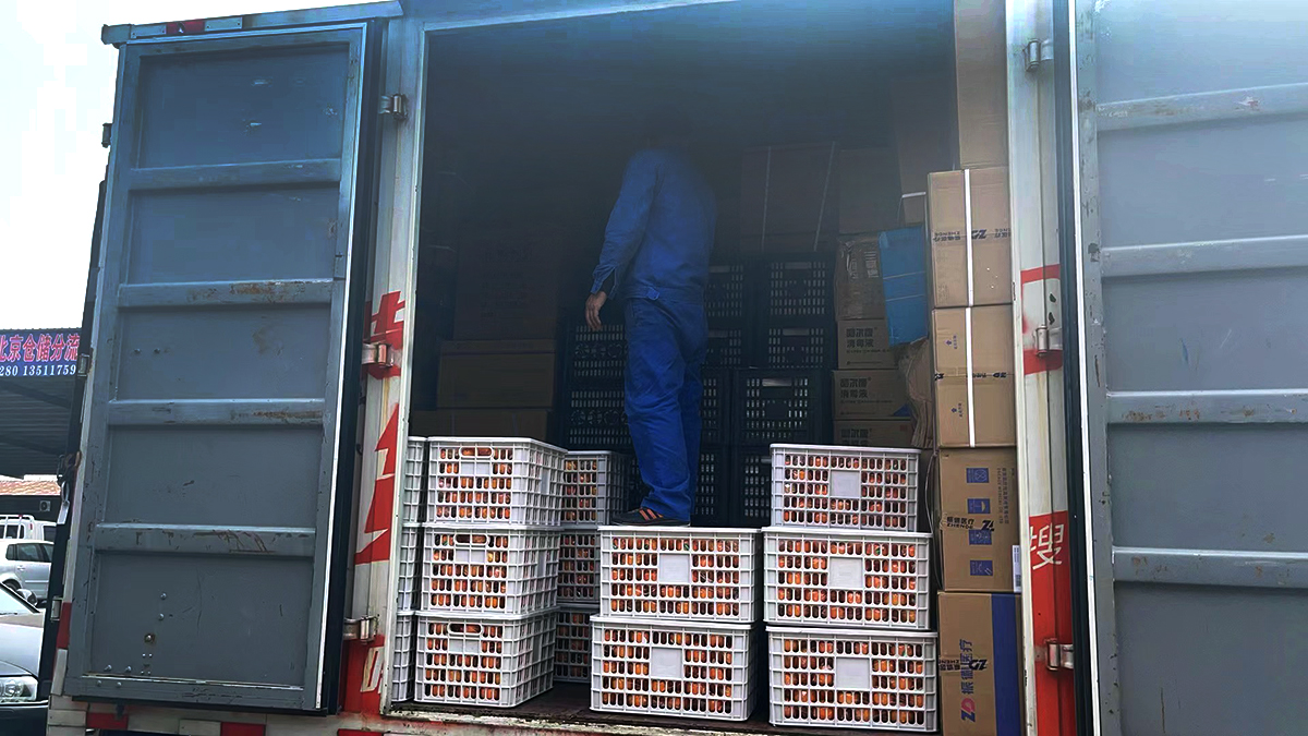 1652324397923887.jpg 5f21271afeb4ec8b75feb6537870b40c_.jpg