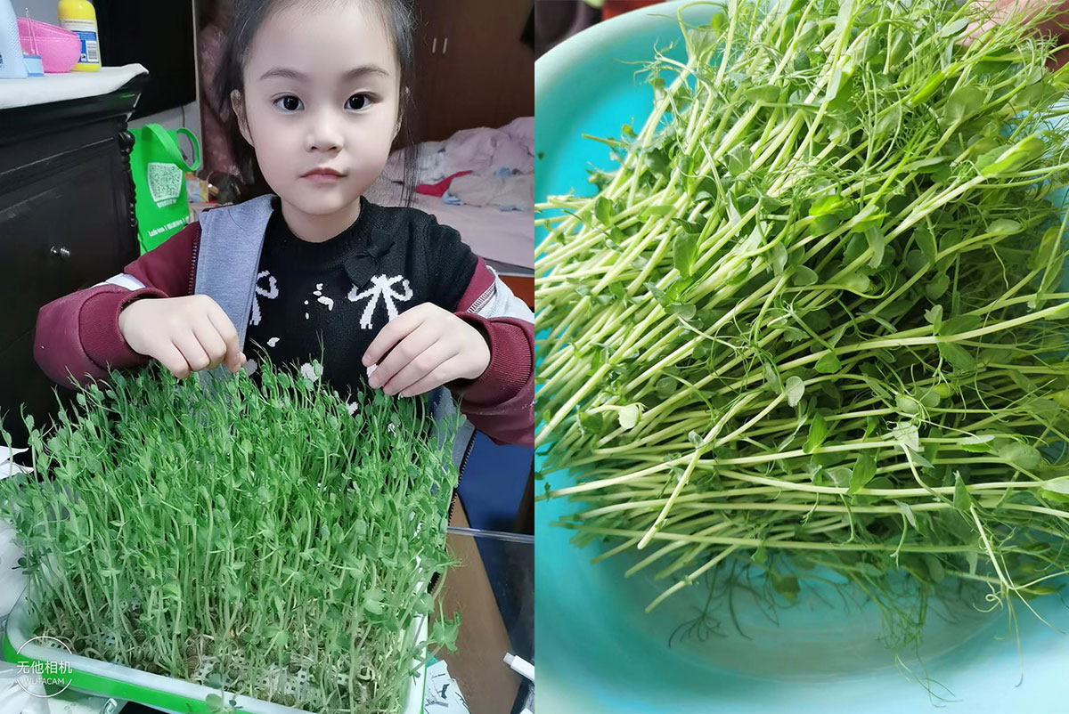 1652341814652654.jpg 拼圖1.jpg