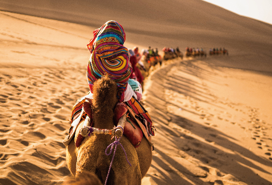 1667908518758376.jpg 站的高看的遠-09.jpg